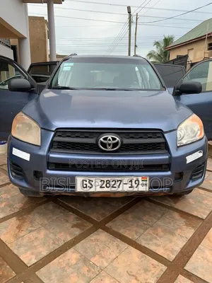 Toyota RAV4 2009 Blue