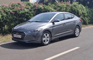Hyundai Elantra 2017 Gray