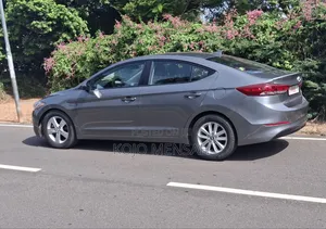 Hyundai Elantra 2017 Gray