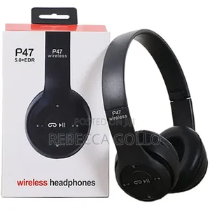 Bag and Headset