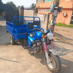 New Tricycle 2025 Blue