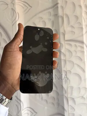 Pixel 9 Pro Xl