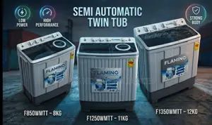 Flamino Washing Machine