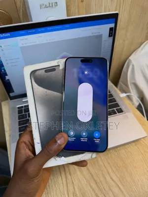 Apple iPhone 15 Pro Max 256 GB Silver