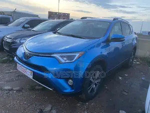 Toyota RAV4 2018 Blue