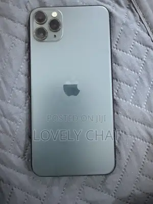 Apple iPhone 11 Pro Max 256 GB Gray