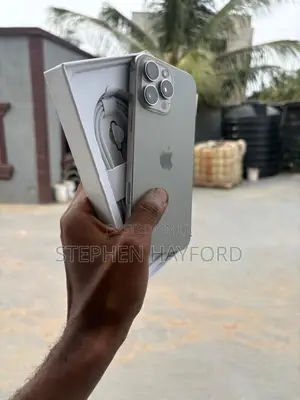 Apple iPhone 16 Pro Max 256 GB Silver
