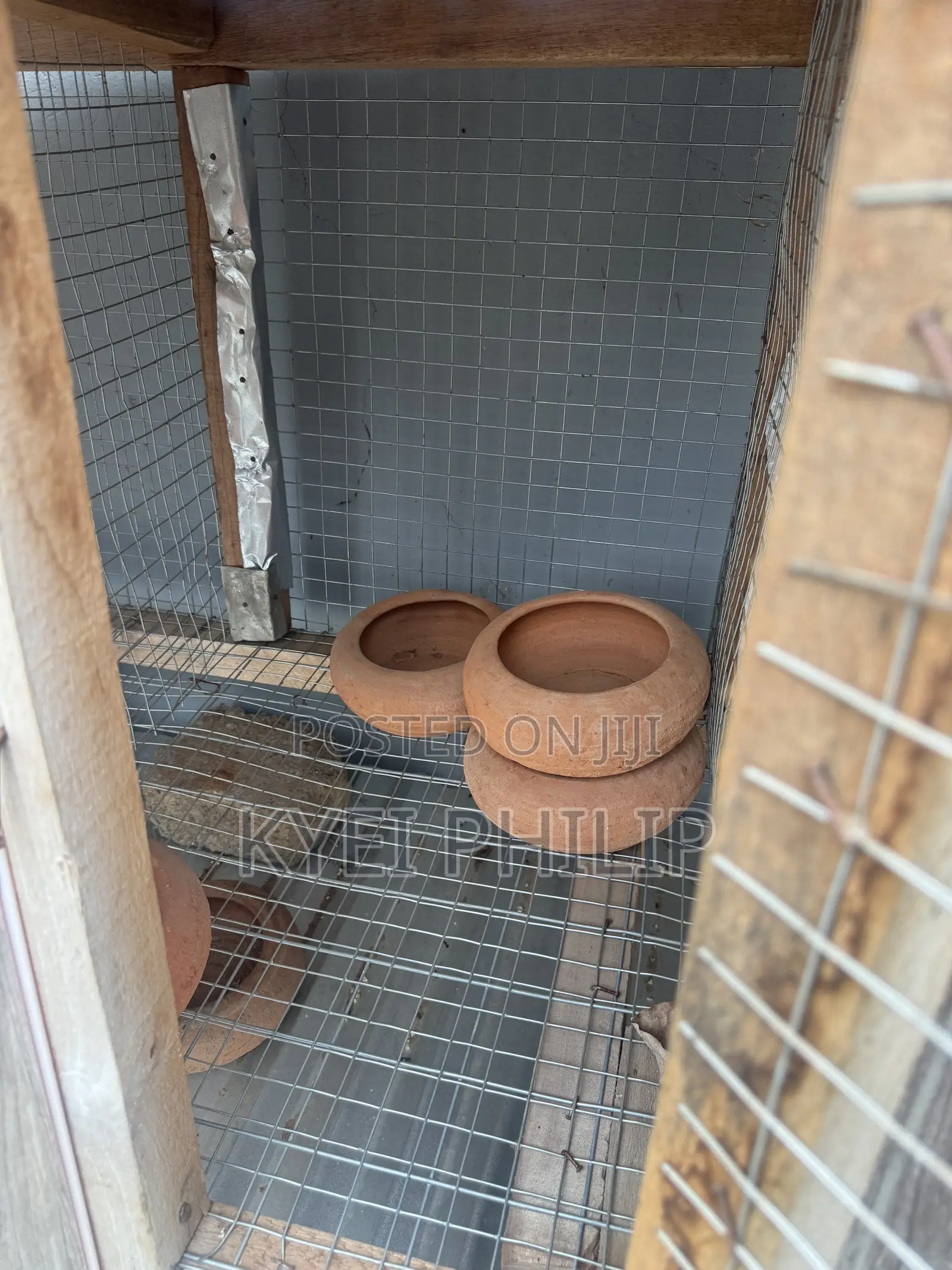 Grasscutter/ Rabbit Cage