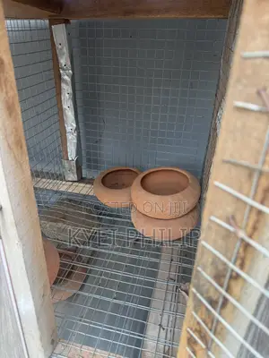Grasscutter/ Rabbit Cage