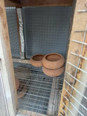 Grasscutter/ Rabbit Cage