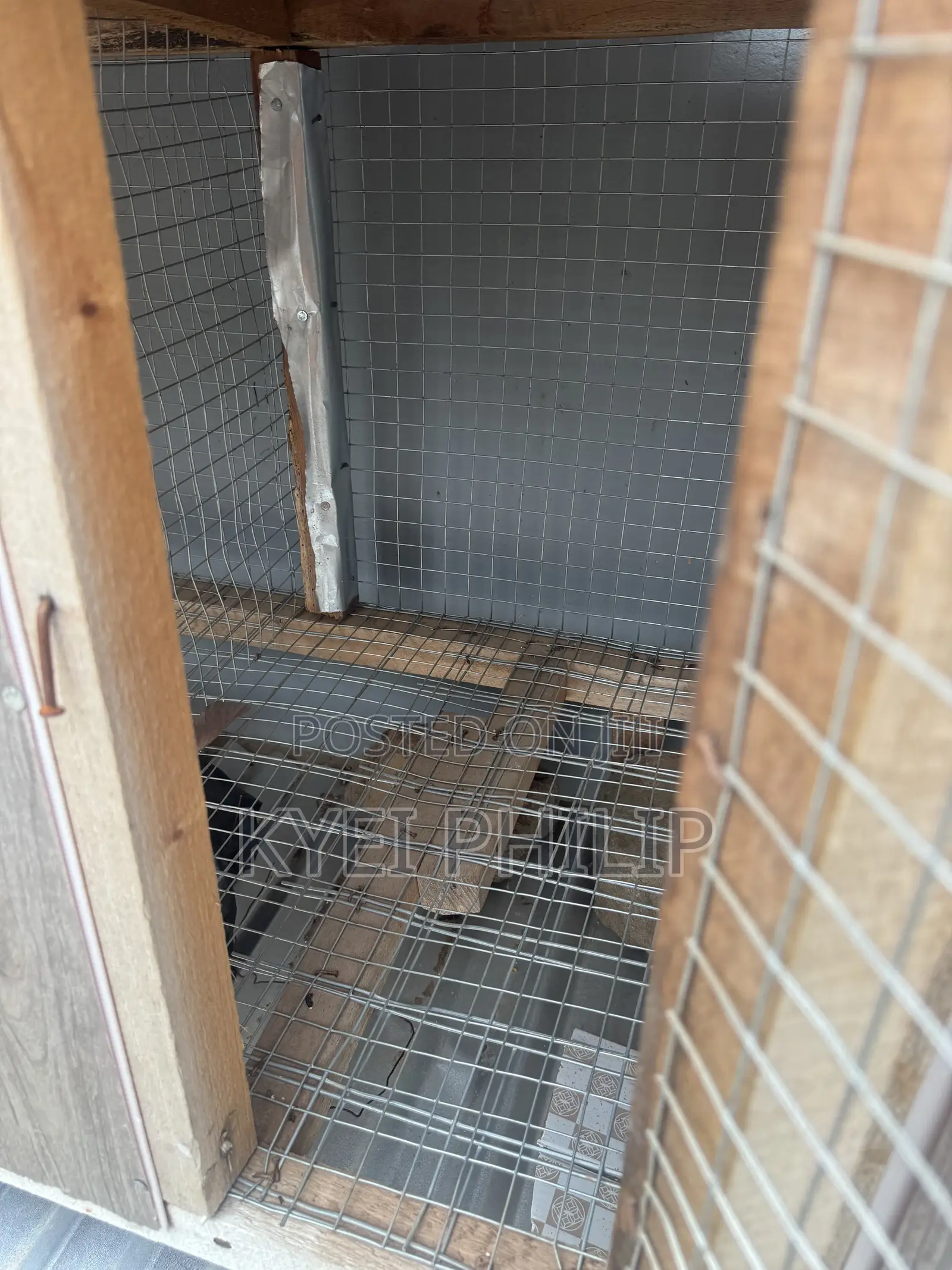Grasscutter/ Rabbit Cage