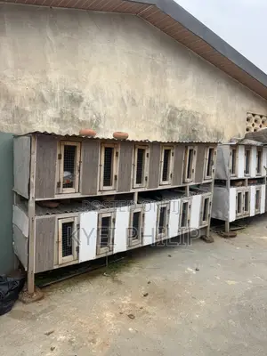 Grasscutter/ Rabbit Cage