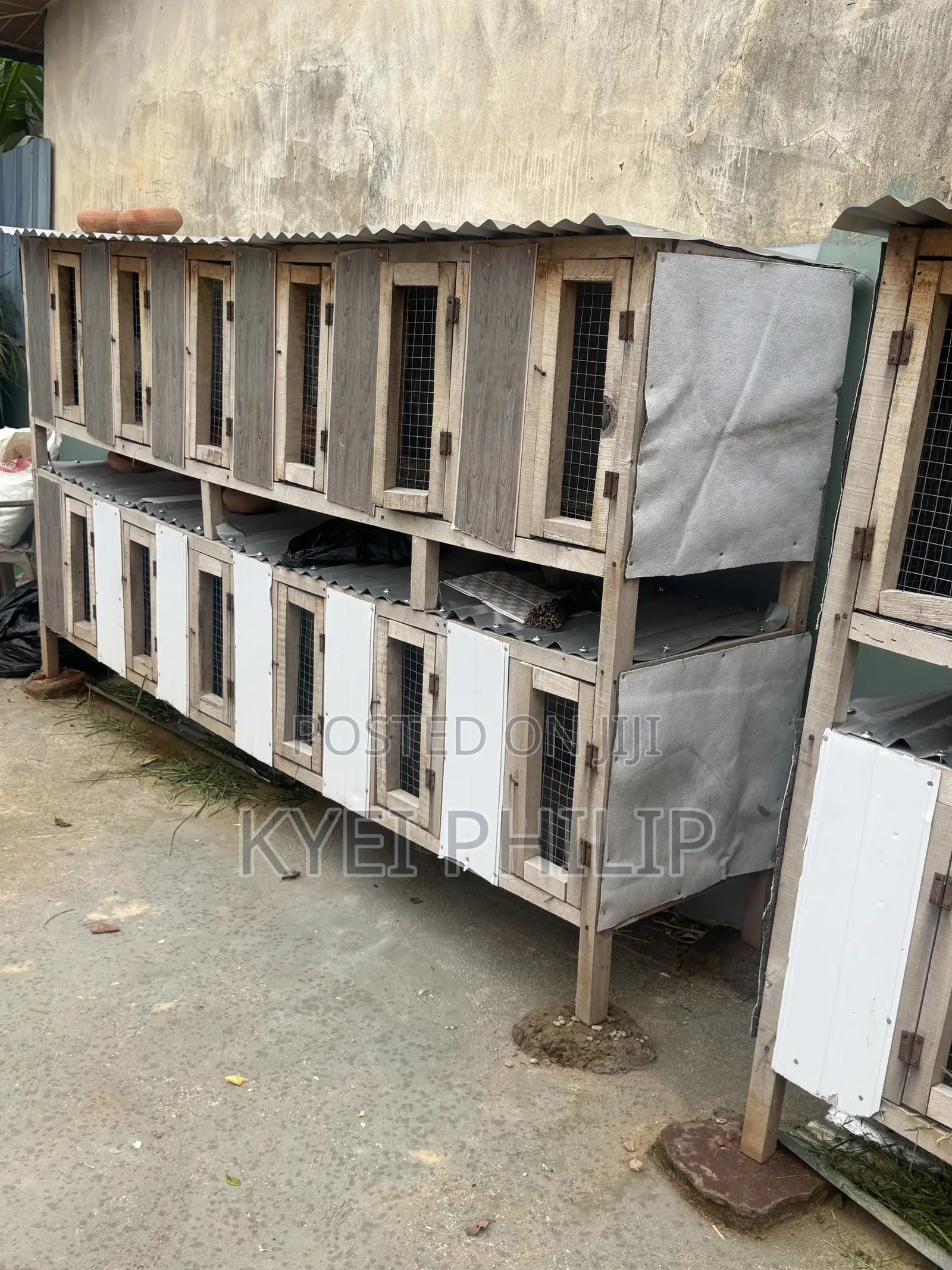 Grasscutter/ Rabbit Cage