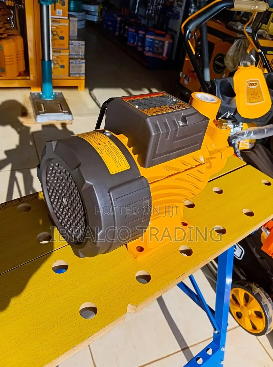 Ingco 0.75hp Water Pump