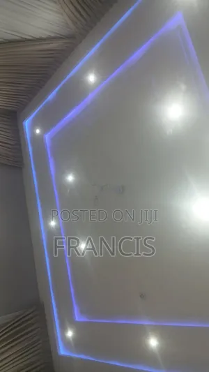 Professional Electrician