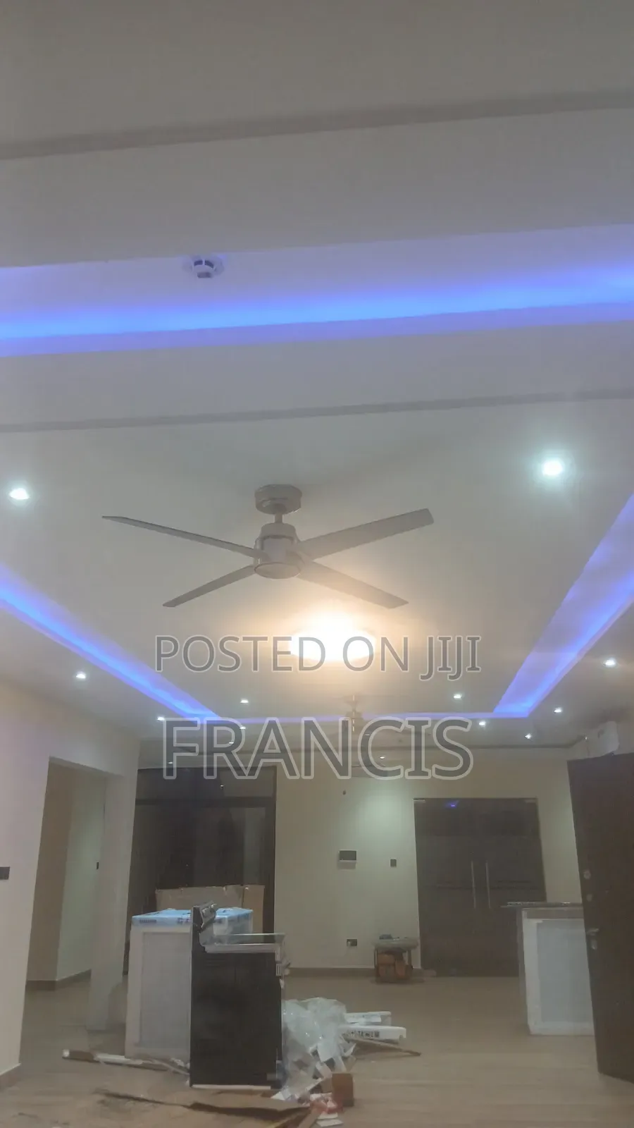 Professional Electrician