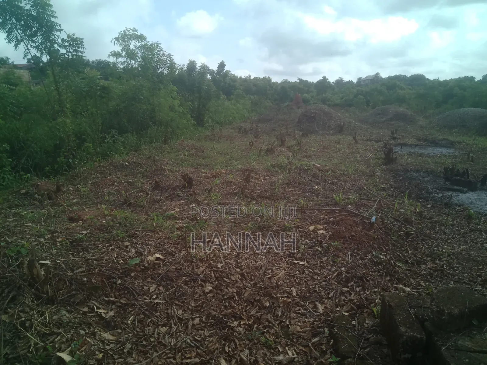 Land for Sale