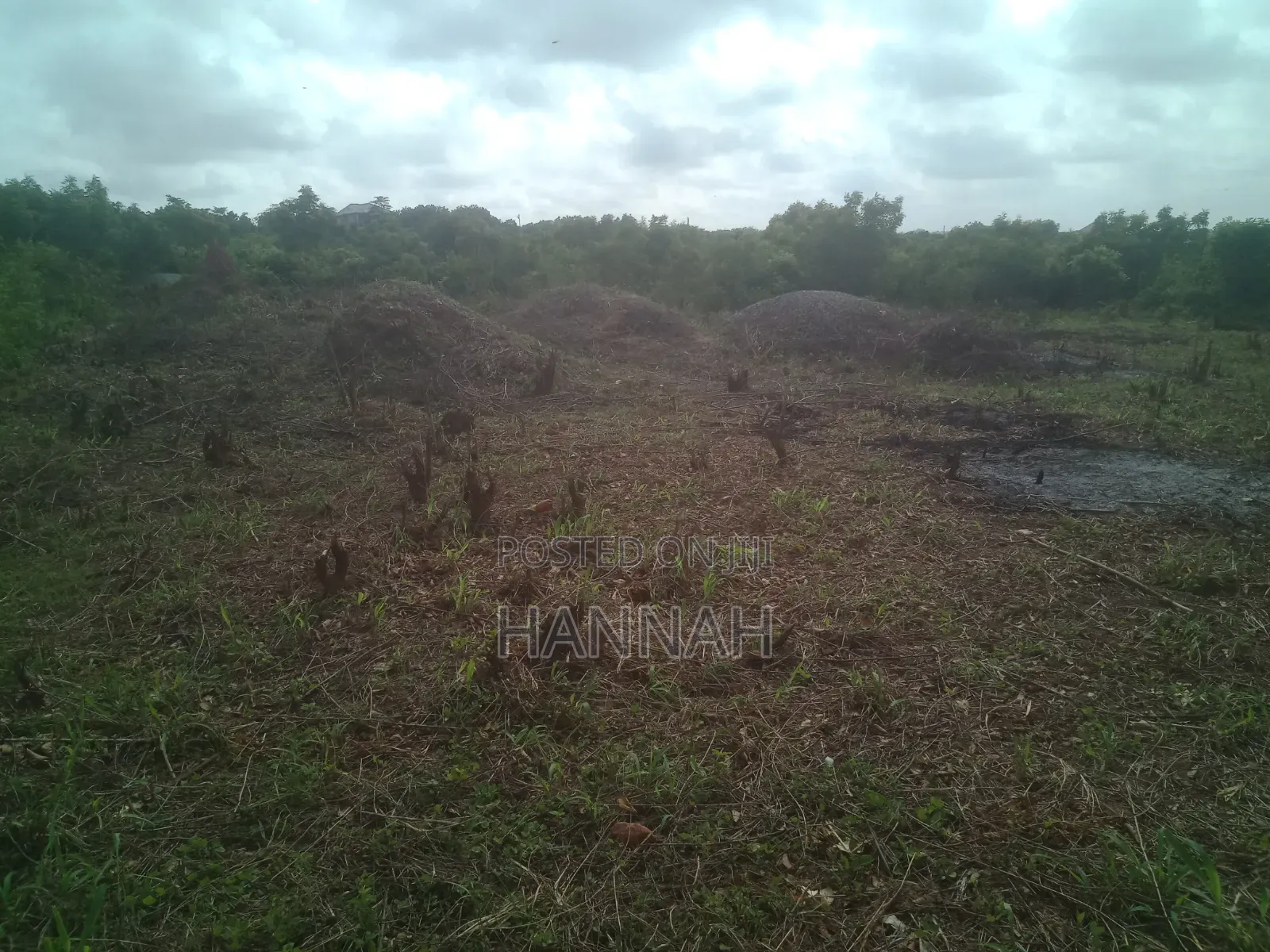 Land for Sale