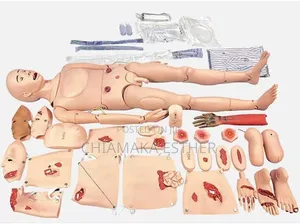 Medical Model Full Human Training Doll