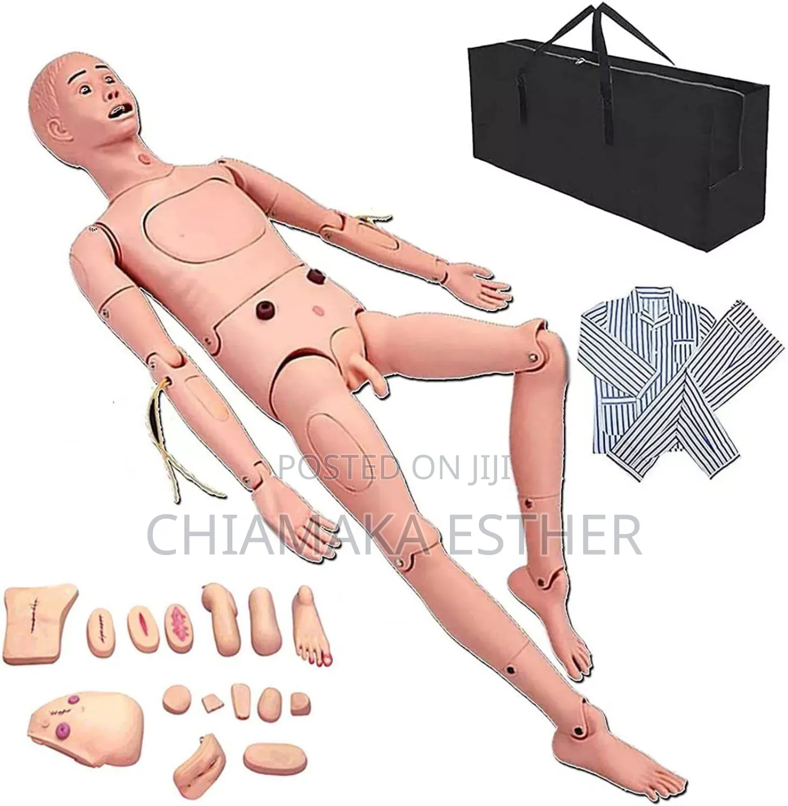 Medical Model Full Human Training Doll