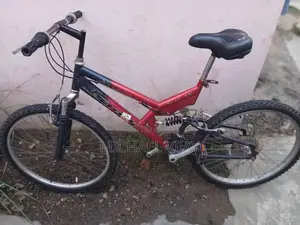 Strong Spring Bicycle