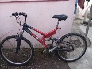 Strong Spring Bicycle