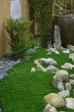 Moss for Flower Pots,Home Decorations, Crafters in Ghana