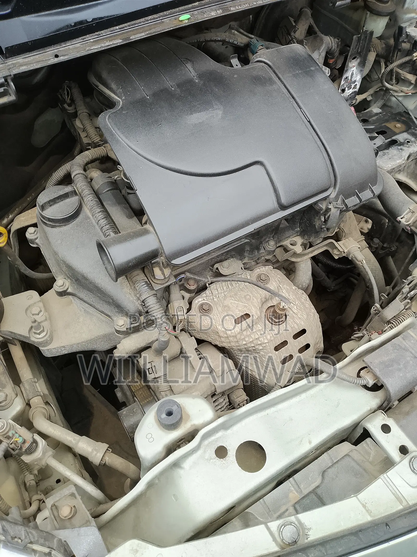 Toyota Vitz 2012 Green