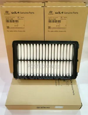 Sorento/Santa Fe/Tucson/Sonata//Sportage/Palisade 21-26 Air Filter