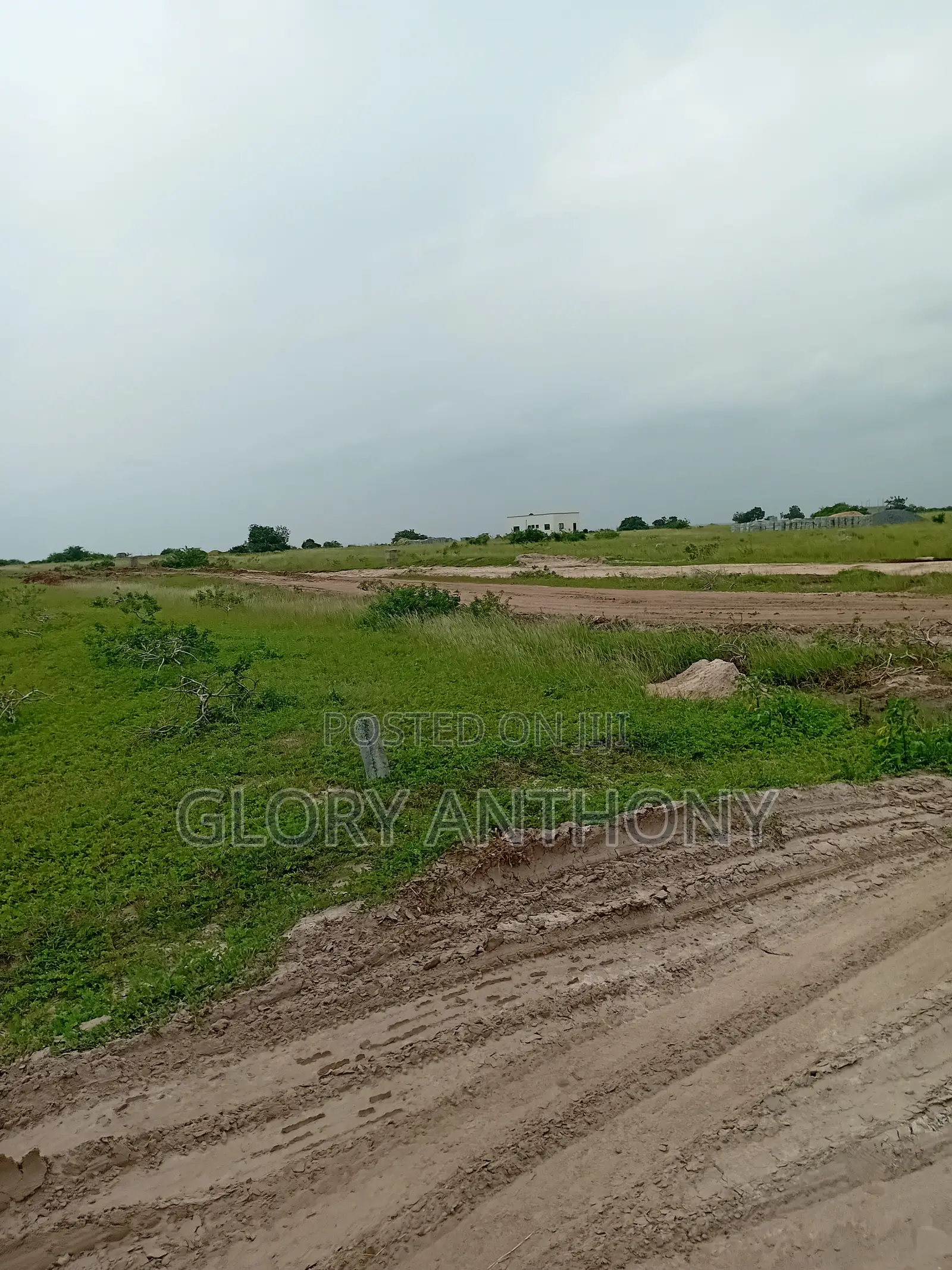 Best Opportunity for Land Investors