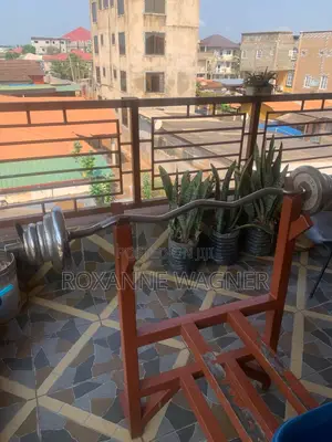 Gym Bar and Bench
