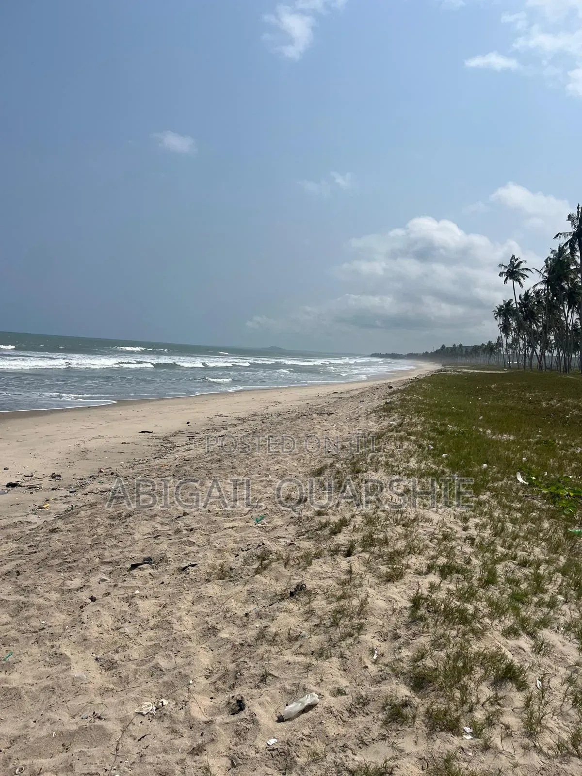 Beach Land