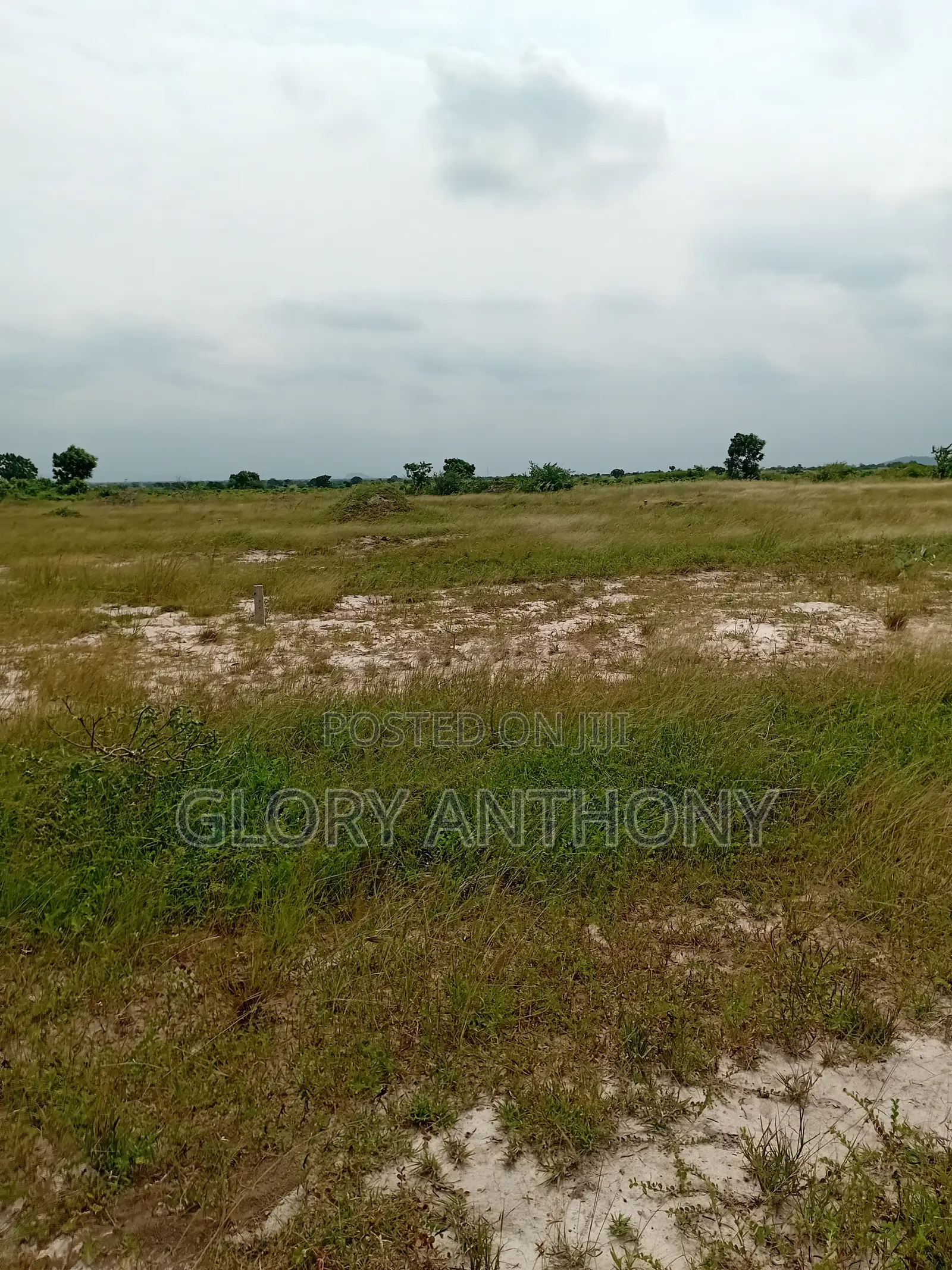 Purchase A Land Today And Start Your Dream Project