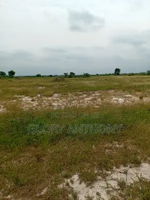 Purchase A Land Today And Start Your Dream Project