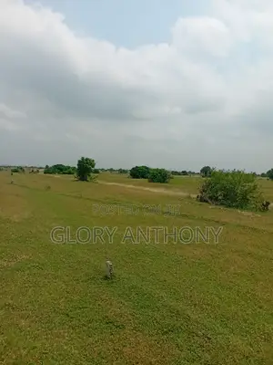 Purchase A Land Today And Start Your Dream Project