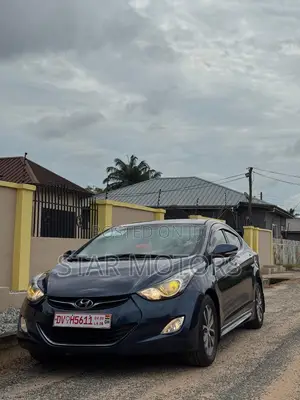 Hyundai Elantra 2014 Blue