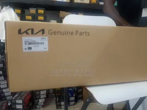 Hyundai Kia Genuine Shocks Absorber