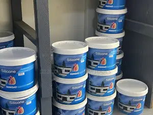 Silkcoat Paint
