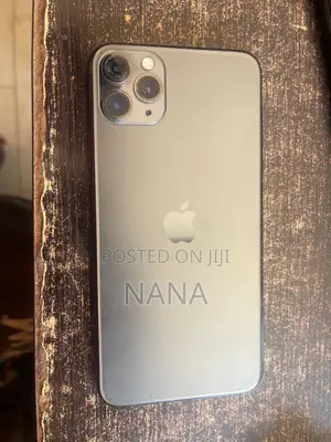 Apple iPhone 11 Pro Max 256 GB Gray