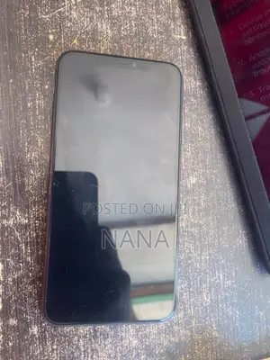 Apple iPhone 11 Pro Max 256 GB Gray