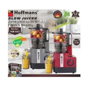 Hoffmans Electric Slow Juicer 400w