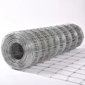 Galvanized Welded Wire Fence Mesh 3mm for Farm Poultry and Livestock