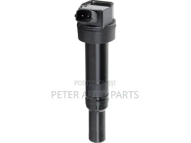 Hyundai Elantra 2013-16 Ignition Coil. Original