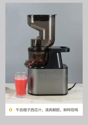 Slow Juicer