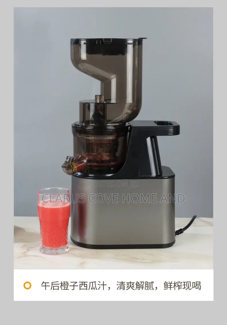 Slow Juicer