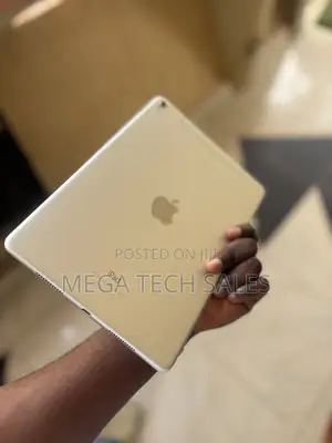 Apple iPad Pro 32 GB Gray