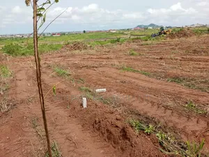 Buy Your Land This Rainy Season