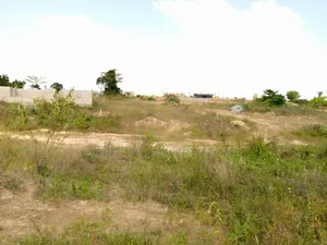 Buy Your Land This Rainy Season