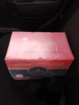 13 Plates Battery Striver
