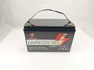 Ztekbri 12 v 100ah Lifepo4 Lithium Iron Phosphate Deep Cycle Battery